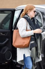 AMY ADAMS at Grocery Shopping in Los Angeles 12/31/2016