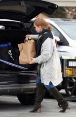 AMY ADAMS at Grocery Shopping in Los Angeles 12/31/2016