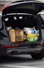 AMY ADAMS at Grocery Shopping in Los Angeles 12/31/2016
