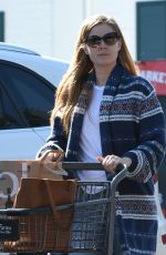 AMY ADAMS Out for Grocery Shopping in Beverly Hills 01/26/2017