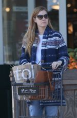 AMY ADAMS Out for Grocery Shopping in Beverly Hills 01/26/2017