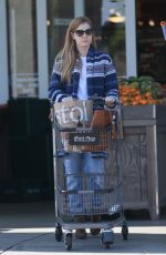 AMY ADAMS Out for Grocery Shopping in Beverly Hills 01/26/2017