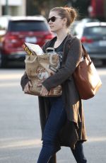 AMY ADAMS Out Shopping in Beverly Hills 01/17/2017