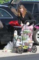 AMY POEHLER Out Shopping in Los Angeles 01/09/2017