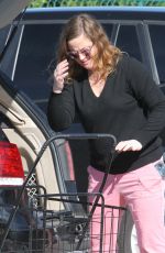 AMY POEHLER Out Shopping in Los Angeles 01/09/2017