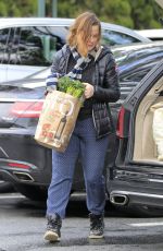 AMY POEHLER Out Shopping in Los Angeles 01/20/2017