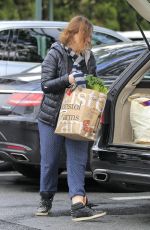AMY POEHLER Out Shopping in Los Angeles 01/20/2017