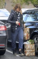 AMY POEHLER Out Shopping in Los Angeles 01/20/2017