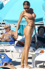 ANASTASIA SKYLINE in Bikini at a Beach in Miami 01/24/2017