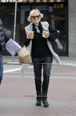 ANNE HECHE Out and About in Los Angeles 01/04/2017