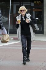 ANNE HECHE Out and About in Los Angeles 01/04/2017