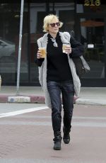 ANNE HECHE Out and About in Los Angeles 01/04/2017
