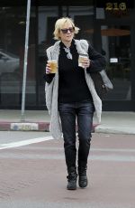 ANNE HECHE Out and About in Los Angeles 01/04/2017