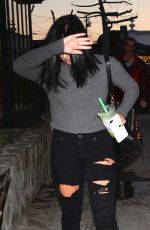 ARIEL WINTER Leaves a Hair Salon in Los Angeles 01/25/2017