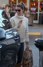 ASHLEY GREENE Out Shopping in Beverly Hills 01/21/2017