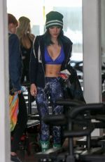 BELLA and DANI THORNE at a Gym in Los Angeles 01/05/2017