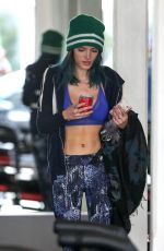 BELLA and DANI THORNE at a Gym in Los Angeles 01/05/2017