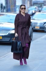 BELLAMY YOUNG Out and About in New York 01/25/2017