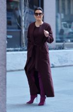 BELLAMY YOUNG Out and About in New York 01/25/2017