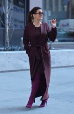 BELLAMY YOUNG Out and About in New York 01/25/2017