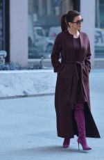 BELLAMY YOUNG Out and About in New York 01/25/2017