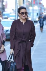 BELLAMY YOUNG Out and About in New York 01/25/2017