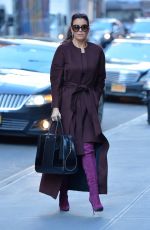 BELLAMY YOUNG Out and About in New York 01/25/2017