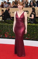 BRYCE DALLAS HOWARD at 23rd Annual Screen Actors Guild Awards in Los Angeles 01/29/2017