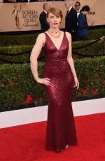 BRYCE DALLAS HOWARD at 23rd Annual Screen Actors Guild Awards in Los Angeles 01/29/2017
