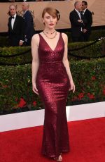 BRYCE DALLAS HOWARD at 23rd Annual Screen Actors Guild Awards in Los Angeles 01/29/2017