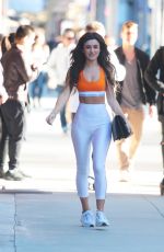 CASSIE CARDELLE Out and About in Beverly Hills 01/30/2017