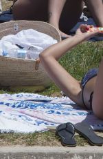 CHLOE LEWIS in Bikini at Redleaf Pool in Sydney 01/21/2017