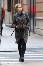 CYNTHIA NIXON Out and About in New York 01/12/2017