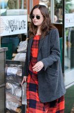 DAKOTA JOHNSON Out and About in Los Angeles 01/05/2017