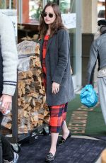 DAKOTA JOHNSON Out and About in Los Angeles 01/05/2017