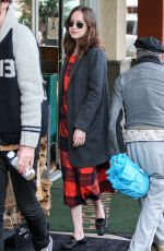 DAKOTA JOHNSON Out and About in Los Angeles 01/05/2017