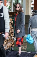 DAKOTA JOHNSON Out and About in Los Angeles 01/05/2017