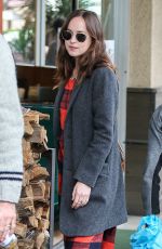DAKOTA JOHNSON Out and About in Los Angeles 01/05/2017
