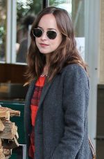 DAKOTA JOHNSON Out and About in Los Angeles 01/05/2017