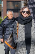 DAKOTA JOHNSON Out in New York 01/30/2017