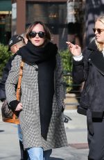 DAKOTA JOHNSON Out in New York 01/30/2017