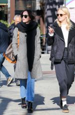 DAKOTA JOHNSON Out in New York 01/30/2017