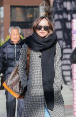 DAKOTA JOHNSON Out in New York 01/30/2017