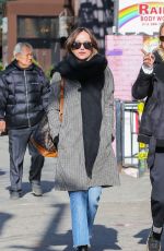 DAKOTA JOHNSON Out in New York 01/30/2017