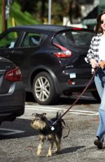 DAKOTA JOHNSON Walks Her Dog Out in Los Angeles 01/11/2017