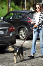 DAKOTA JOHNSON Walks Her Dog Out in Los Angeles 01/11/2017