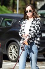 DAKOTA JOHNSON Walks Her Dog Out in Los Angeles 01/11/2017