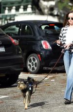 DAKOTA JOHNSON Walks Her Dog Out in Los Angeles 01/11/2017