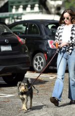 DAKOTA JOHNSON Walks Her Dog Out in Los Angeles 01/11/2017