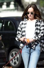 DAKOTA JOHNSON Walks Her Dog Out in Los Angeles 01/11/2017